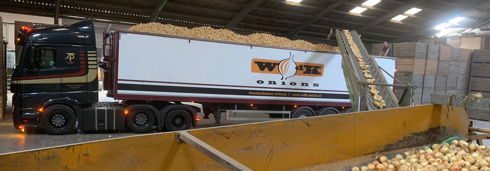 WDK Onions storage and logistics